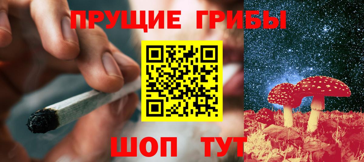 Галлюциногенные грибы прущие грибы Тверь